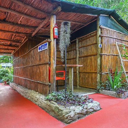 Gala Gala Eco Resort بونتا دو أورو المظهر الخارجي الصورة
