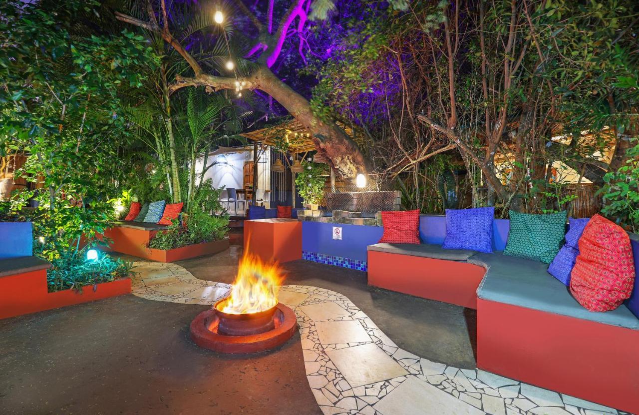 Gala Gala Eco Resort بونتا دو أورو المظهر الخارجي الصورة